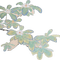 green flower - безплатен png анимиран GIF