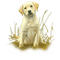 chien - δωρεάν png κινούμενο GIF
