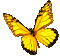 Animated.Butterfly.Yellow - By KittyKatLuv65 - GIF animé gratuit GIF animé