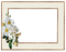 frame rectangle bp - nemokama png animuotas GIF