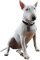 Hond - безплатен png анимиран GIF