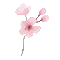 Pink.Flowers.Bouquet.gif.Victoriabea - Ücretsiz animasyonlu GIF animasyonlu GIF
