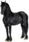 blck horse6 - Free PNG Animated GIF