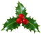 Christmas Mistletoe - ilmainen png animoitu GIF