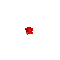 Roses - Bezmaksas animēts GIF animēts GIF