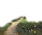 jardin camino dubravka4 - Free PNG Animated GIF