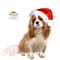 Christmas - ilmainen png animoitu GIF