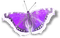 soave deco butterfly scrap purple