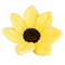 Kaz_Creations Deco Flowers Flower - δωρεάν png κινούμενο GIF