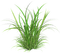 dolceluna grass - Free PNG Animated GIF
