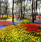 Rena Japan Spring Background Hintergrund - Free PNG Animated GIF