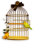 Cage à oiseaux - Nemokamas animacinis gif