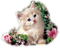 Kaz_Creations Cats Kittens Cat Kitten Flowers - 無料png アニメーションGIF