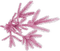 plants anastasia - ilmainen png animoitu GIF