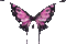 Pink and Black Glitter Butterfly