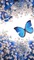 Butterfly - бесплатно png анимированный гифка