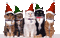 Kaz_Creations Christmas Cats Animated - GIF เคลื่อนไหวฟรี GIF แบบเคลื่อนไหว