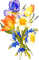 FLORES - Free PNG Animated GIF