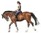 häst-flicka-rider-----horse-girl-riding - PNG gratuit GIF animé
