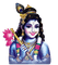 ❤️ Krishna ❤️ - бесплатно png анимированный гифка