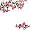 Y.A.M._Japan Spring Flowers Decor - GIF animado gratis GIF animado