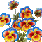 pansy flowers bp - 免费动画 GIF 动画 GIF