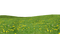 gräs--grass
