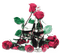 soave deco birthday year flowers rose bottle glass - ingyenes png animált GIF