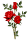 red roses - darmowe png animowany gif