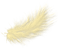 Feder gelb yellow - безплатен png анимиран GIF