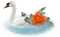 swans bp - bezmaksas png animēts GIF