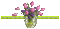 vaso tulipas - Zdarma animovaný GIF animovaný GIF