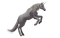 Unicorn 3 - ilmainen png animoitu GIF