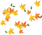 Autumn leaf - δωρεάν png κινούμενο GIF