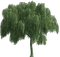 Baum - фрее пнг анимирани ГИФ
