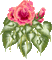 rose rose.Cheyenne63 - 無料のアニメーション GIF アニメーションGIF