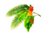 RAMA DE FLORES - Free PNG Animated GIF