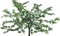 träd---tree - бесплатно png анимированный гифка