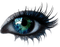 göz - Free PNG Animated GIF
