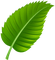 Kaz_Creations  Leaf - zdarma png animovaný GIF