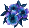 fleur exotique- flowers - Бесплатный анимированный гифка анимированный гифка