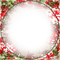 soave frame christmas winter circle branch red - bezmaksas png animēts GIF