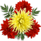 soave deco flowers  Chrysanthemums red yellow - PNG gratuit GIF animé