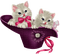 Kittens - PNG gratuit GIF animé
