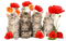 patymirabelle chatons et fleurs - PNG gratuit GIF animé