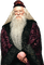 albus dumbledore harry potter - zadarmo png animovaný GIF