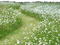 Feldweg - безплатен png анимиран GIF