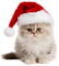 Christmas.Noël.Cat.Chat.Victoriabea - Gratis animerad GIF