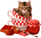 cat in cup bp - Free PNG Animated GIF