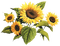 Planta de Girasoles - безплатен png анимиран GIF